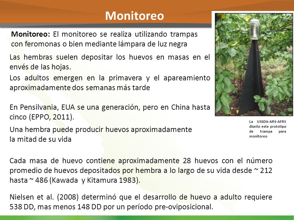 Monitoreo Monitoreo: El monitoreo se realiza utilizando trampas con feromonas o bien mediante lámpara de luz negra.
