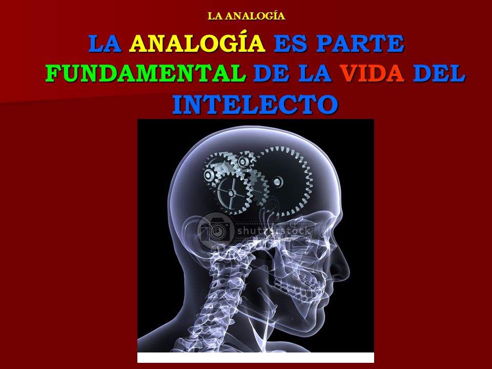 LA ANALOGÍA ES PARTE FUNDAMENTAL DE LA VIDA DEL INTELECTO