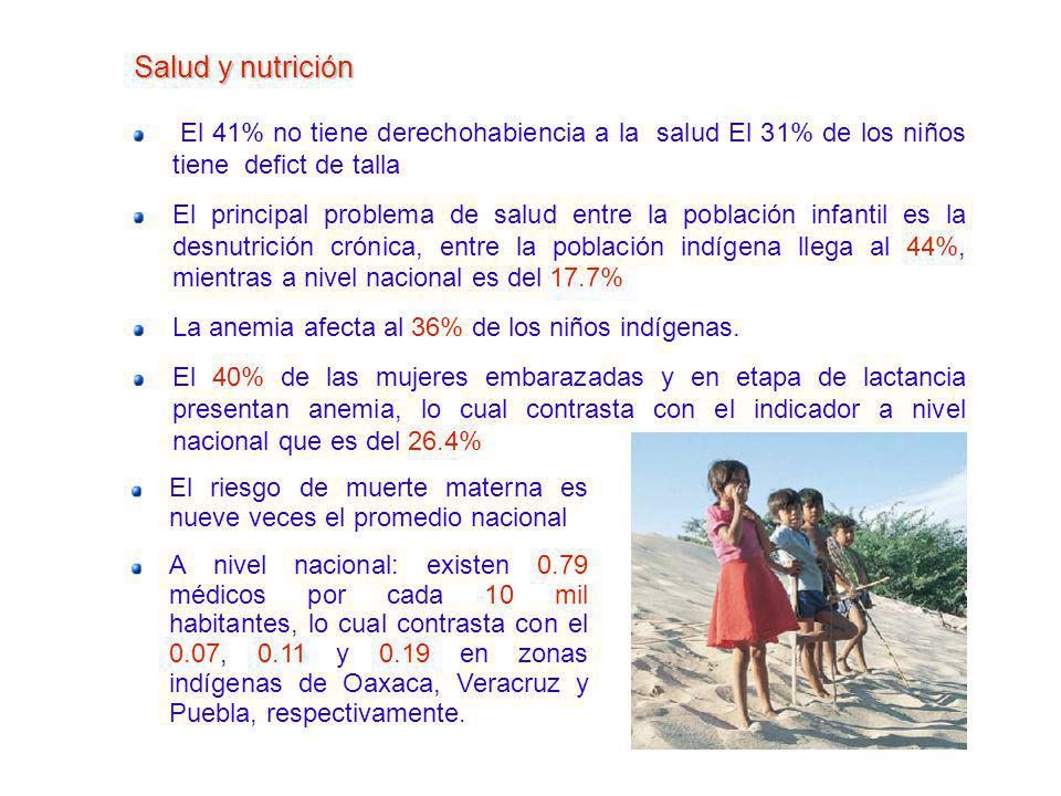 Salud y nutrición El 41% no tiene derechohabiencia a la salud El 31% de los niños tiene defict de talla.