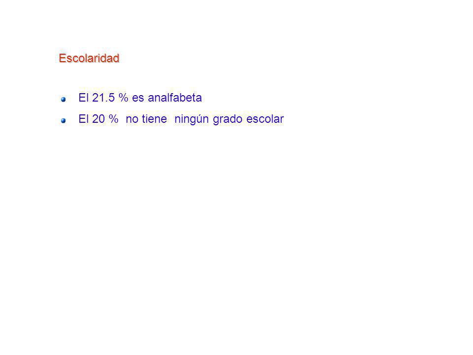 Escolaridad El 21.5 % es analfabeta El 20 % no tiene ningún grado escolar