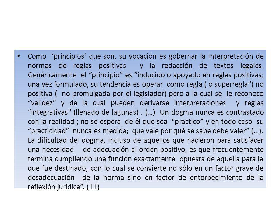 Como ‘principios’ que son, su vocación es gobernar la interpretación de normas de reglas positivas y la redacción de textos legales.