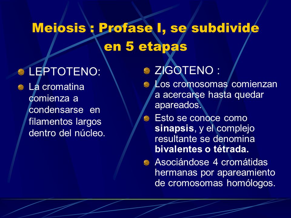 Meiosis : Profase I, se subdivide en 5 etapas