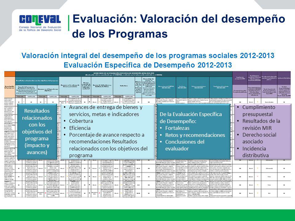 Evaluación: Valoración del desempeño de los Programas