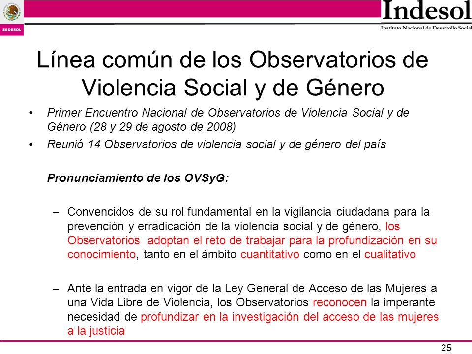 Línea común de los Observatorios de Violencia Social y de Género