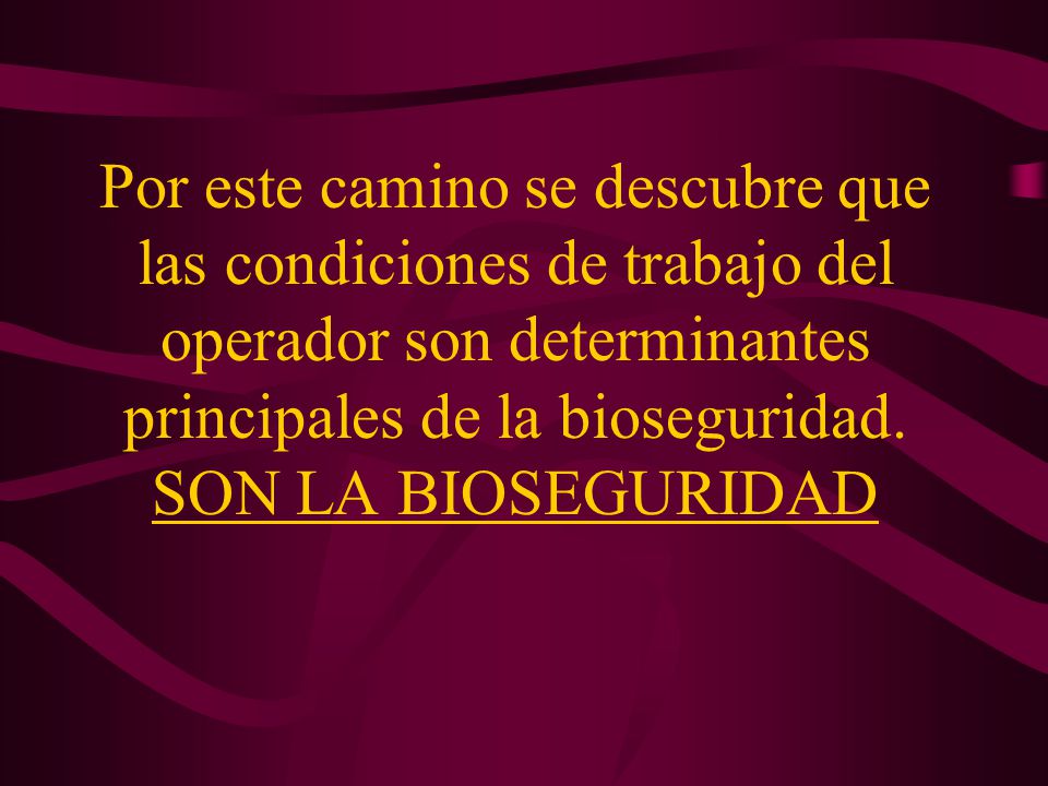 Por este camino se descubre que las condiciones de trabajo del operador son determinantes principales de la bioseguridad.