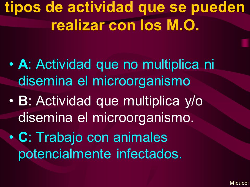 tipos de actividad que se pueden realizar con los M.O.