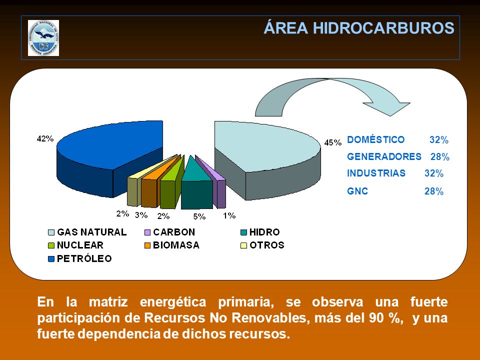 ÁREA HIDROCARBUROS DOMÉSTICO 32% GENERADORES 28% INDUSTRIAS 32% GNC 28%