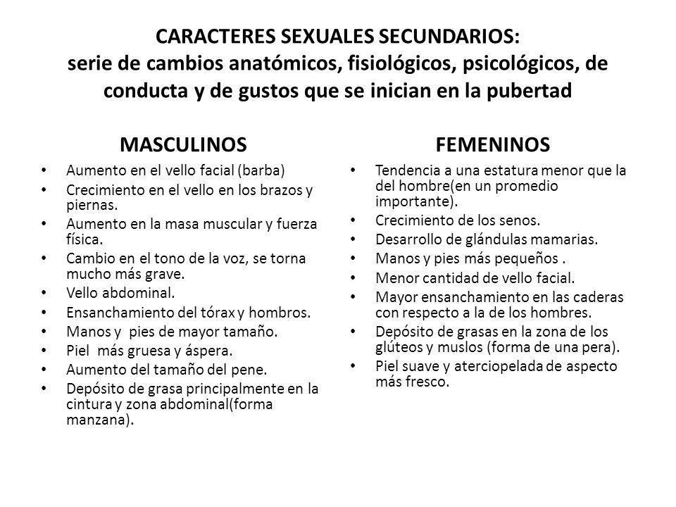CARACTERES SEXUALES SECUNDARIOS: serie de cambios anatómicos, fisiológicos, psicológicos, de conducta y de gustos que se inician en la pubertad