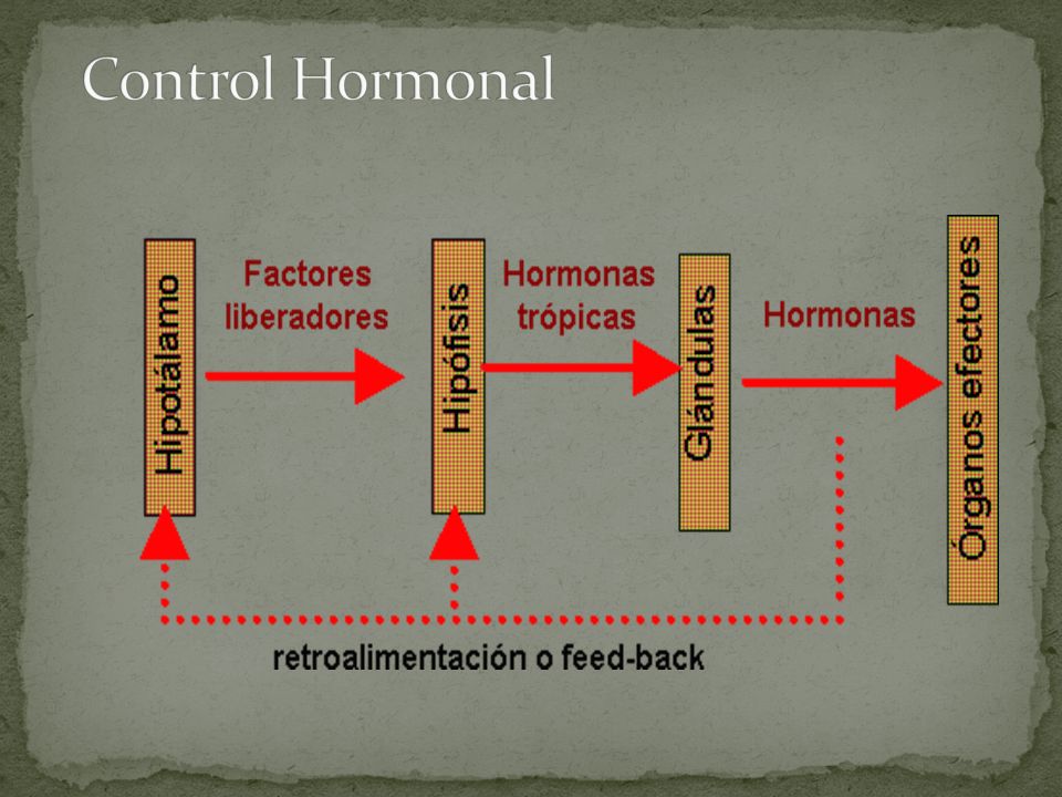 Control Hormonal