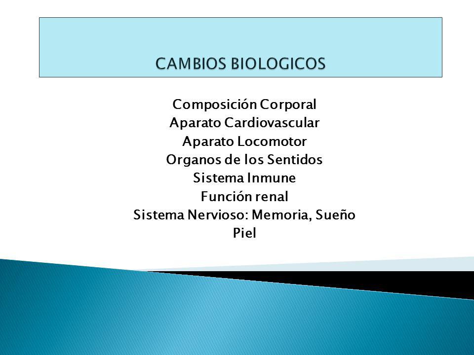 CAMBIOS BIOLOGICOS Composición Corporal Aparato Cardiovascular