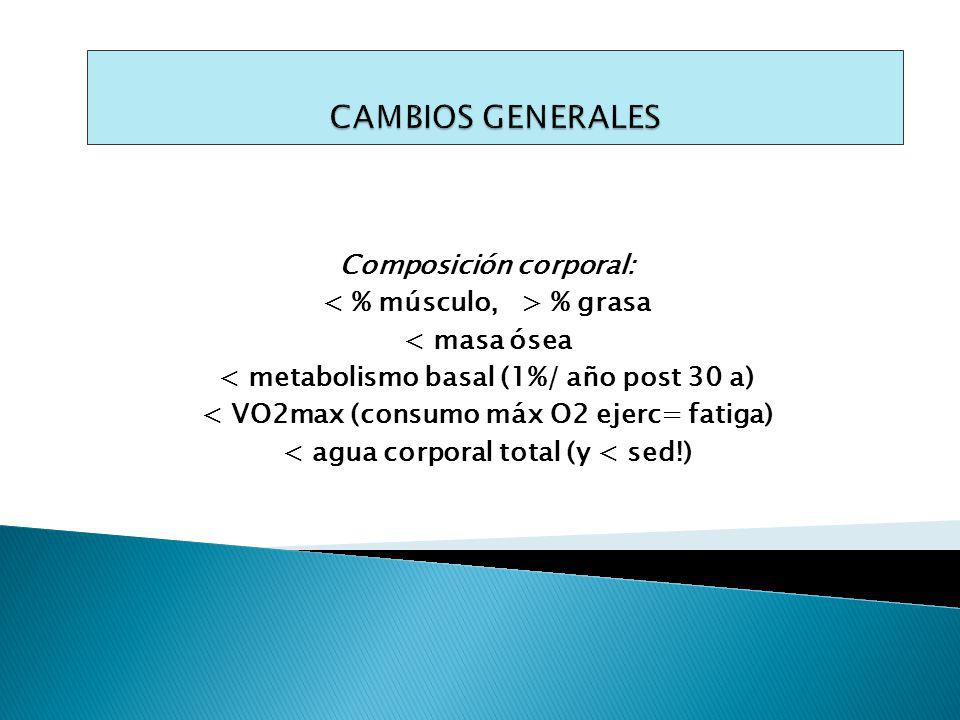 CAMBIOS GENERALES Composición corporal: < % músculo, > % grasa