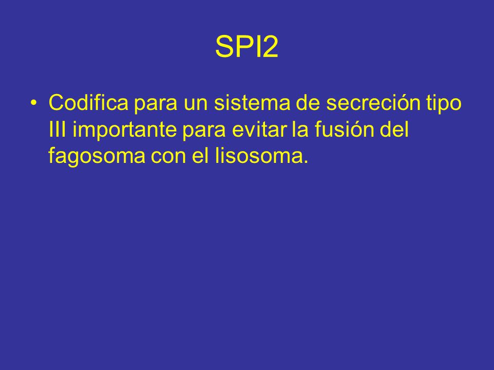 SPI2 Codifica para un sistema de secreción tipo III importante para evitar la fusión del fagosoma con el lisosoma.