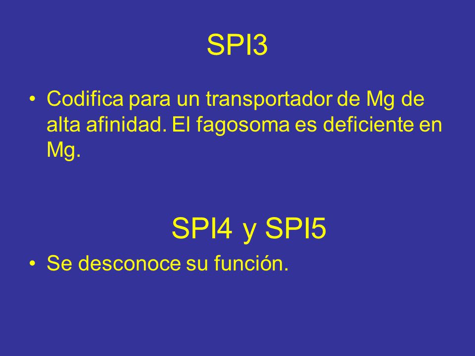 SPI3 Codifica para un transportador de Mg de alta afinidad. El fagosoma es deficiente en Mg. SPI4 y SPI5.