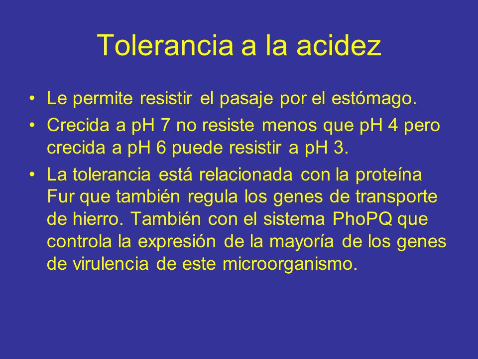 Tolerancia a la acidez Le permite resistir el pasaje por el estómago.