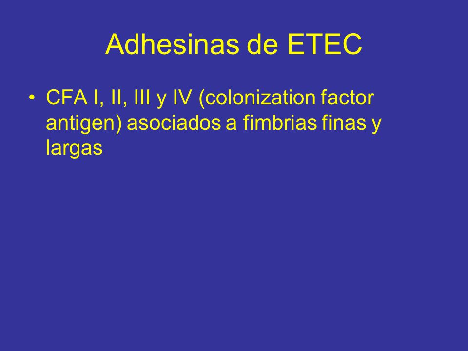 Adhesinas de ETEC CFA I, II, III y IV (colonization factor antigen) asociados a fimbrias finas y largas.