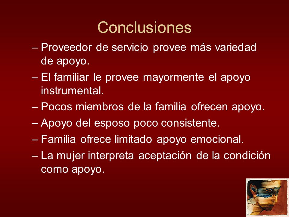Conclusiones Proveedor de servicio provee más variedad de apoyo.