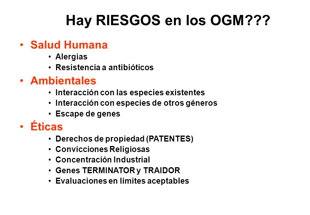 Hay RIESGOS en los OGM Salud Humana Ambientales Éticas Alergias
