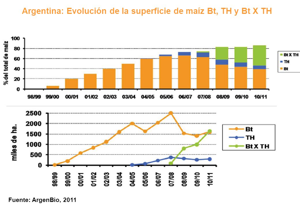 Argentina: Evolución de la superficie de maíz Bt, TH y Bt X TH
