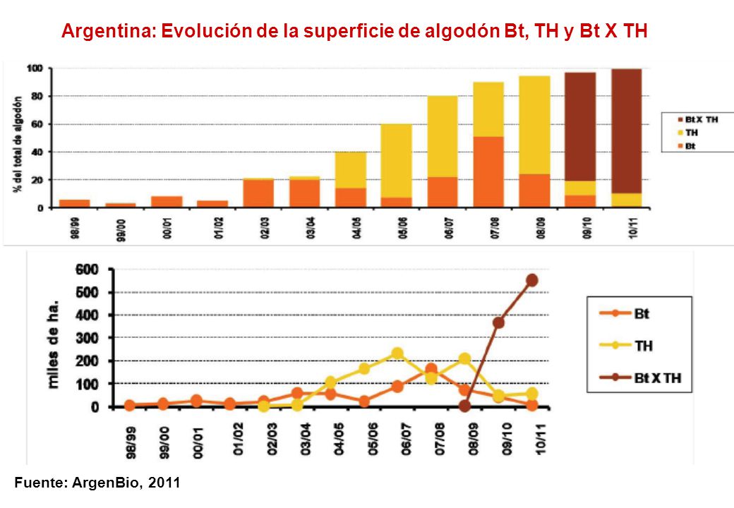 Argentina: Evolución de la superficie de algodón Bt, TH y Bt X TH