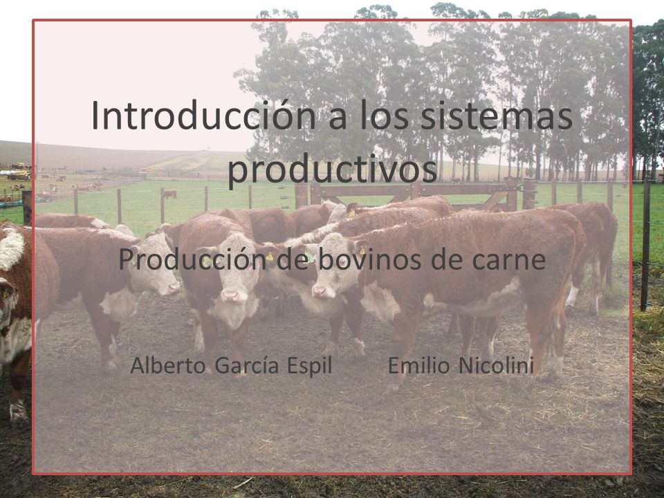 Introducción a los sistemas productivos Producción de bovinos de carne Alberto García Espil Emilio Nicolini