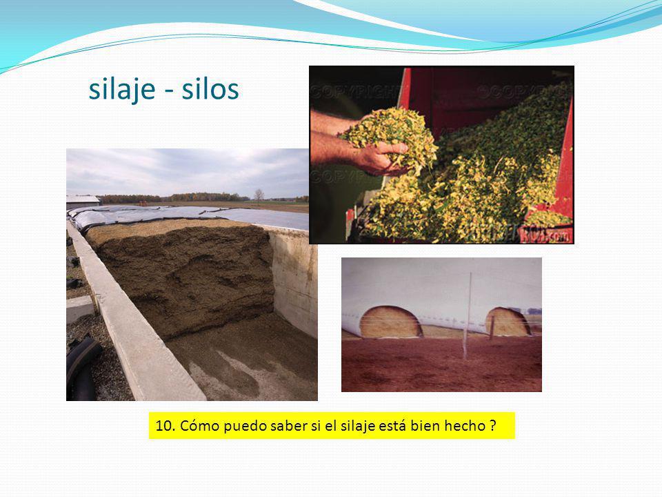 silaje - silos 10. Cómo puedo saber si el silaje está bien hecho