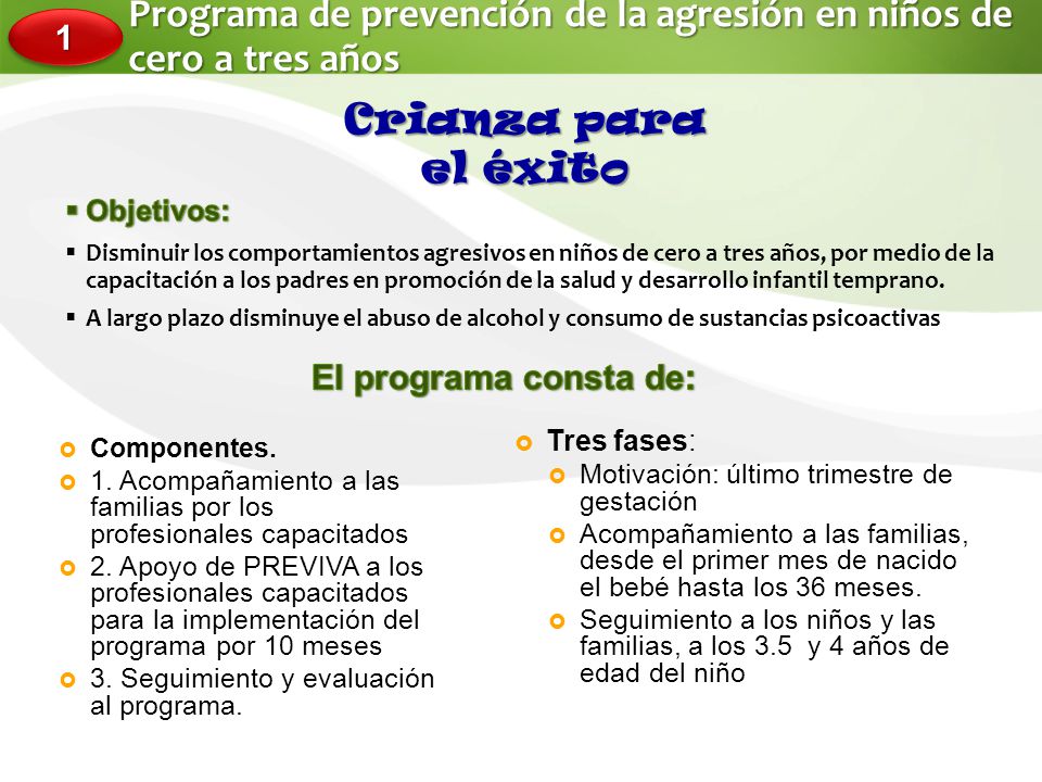 Programa de prevención de la agresión en niños de cero a tres años
