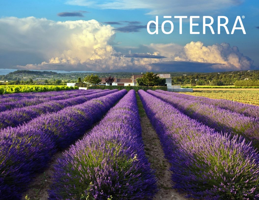 Thank you for your attention and time to learn about the fantastic oils in the dōTERRA Family Physician Kit.