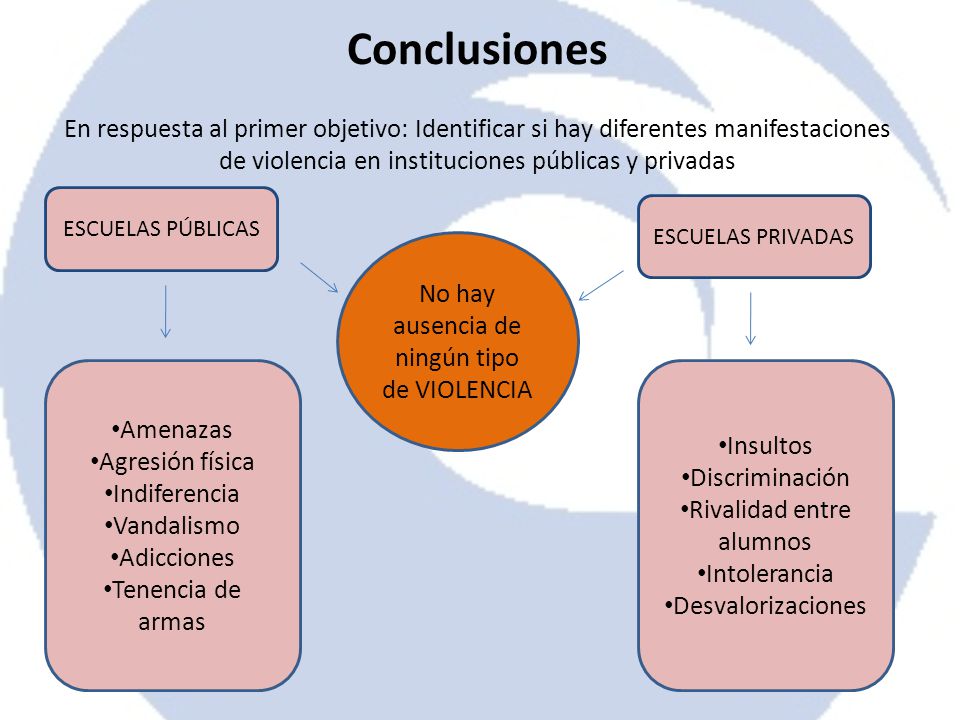 Conclusiones En respuesta al primer objetivo: Identificar si hay diferentes manifestaciones de violencia en instituciones públicas y privadas