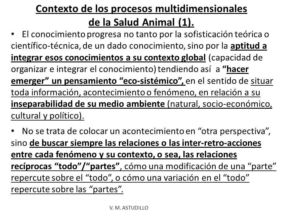 Contexto de los procesos multidimensionales de la Salud Animal (1).