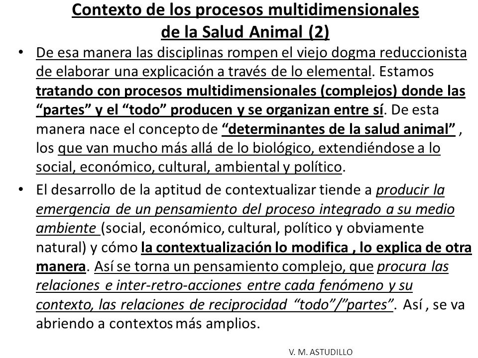 Contexto de los procesos multidimensionales de la Salud Animal (2)