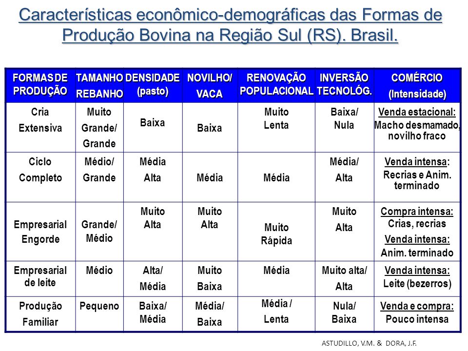Características econômico-demográficas das Formas de Produção Bovina na Região Sul (RS). Brasil.