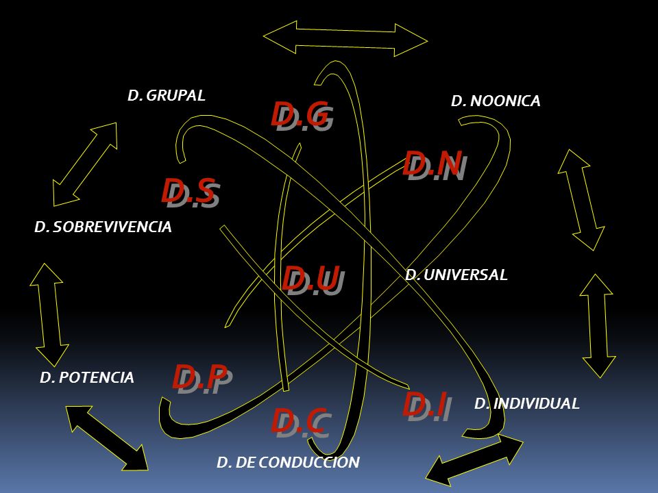 D.G D.N D.S D.U D.P D.I D.C D. GRUPAL D. NOONICA D. SOBREVIVENCIA