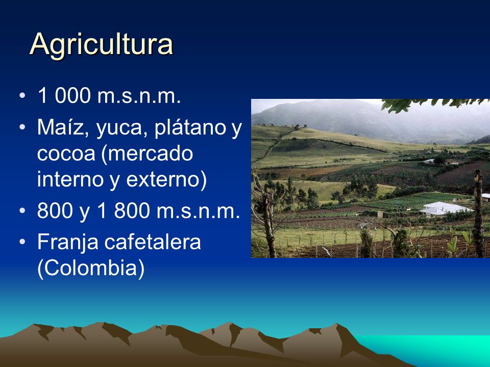 Agricultura m.s.n.m. Maíz, yuca, plátano y cocoa (mercado interno y externo) 800 y m.s.n.m.