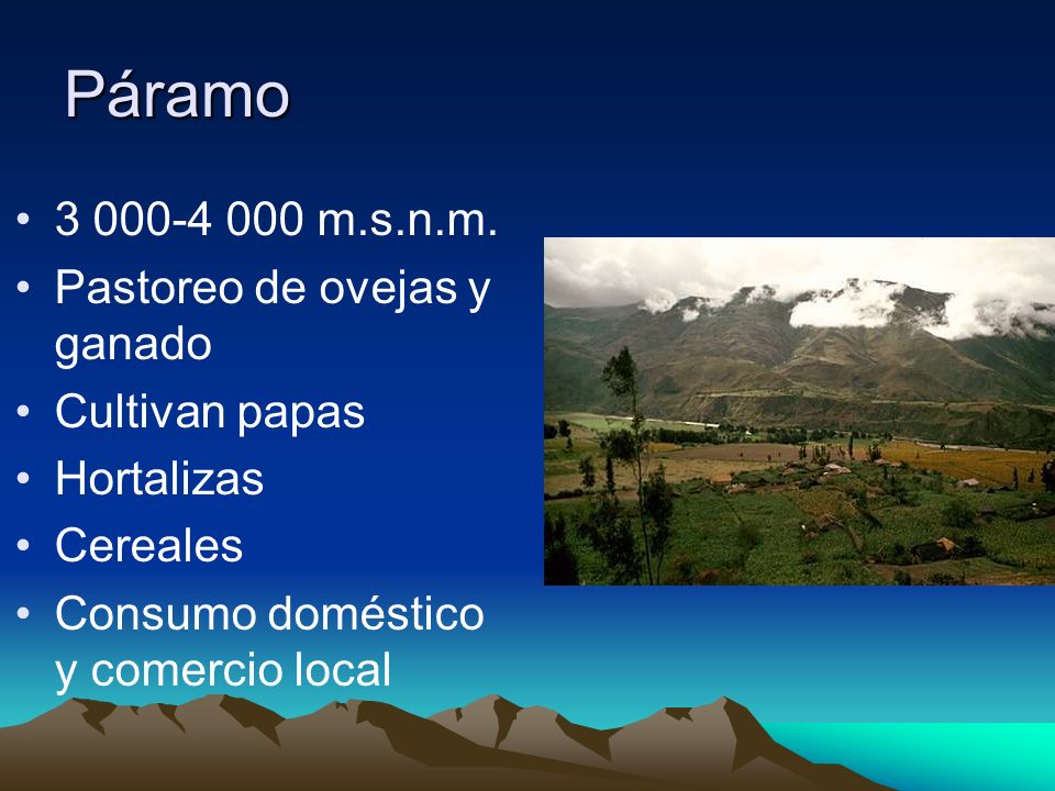 Páramo m.s.n.m. Pastoreo de ovejas y ganado Cultivan papas
