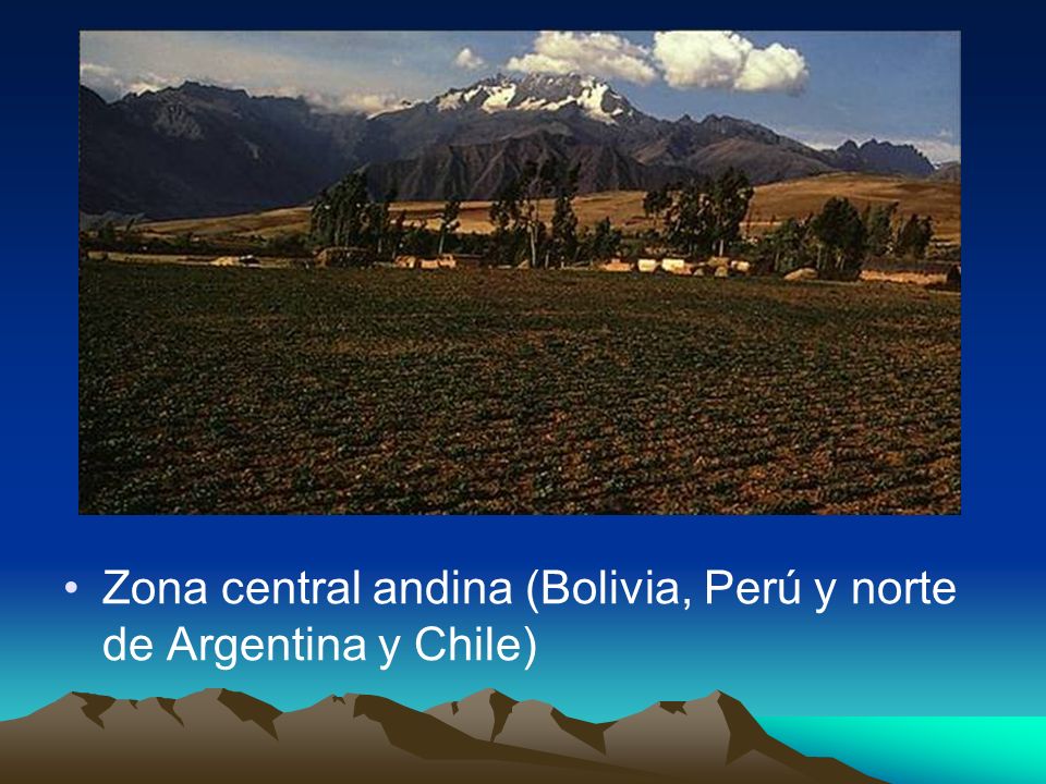Zona central andina (Bolivia, Perú y norte de Argentina y Chile)