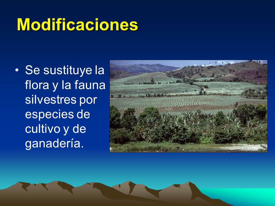 Modificaciones Se sustituye la flora y la fauna silvestres por especies de cultivo y de ganadería.