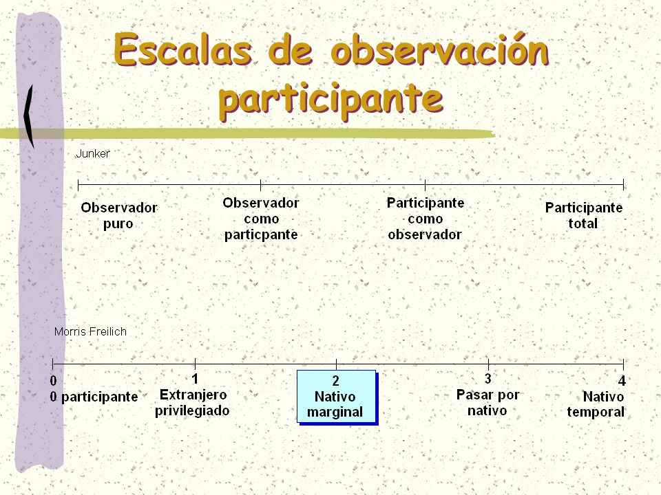 Escalas de observación participante