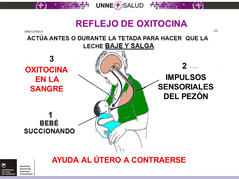 ¿QUE TIPOS DE PARASITOS EXISTEN