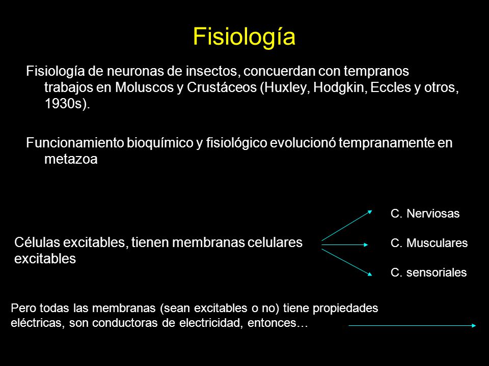 Fisiología Fisiología de neuronas de insectos, concuerdan con tempranos trabajos en Moluscos y Crustáceos (Huxley, Hodgkin, Eccles y otros, 1930s).