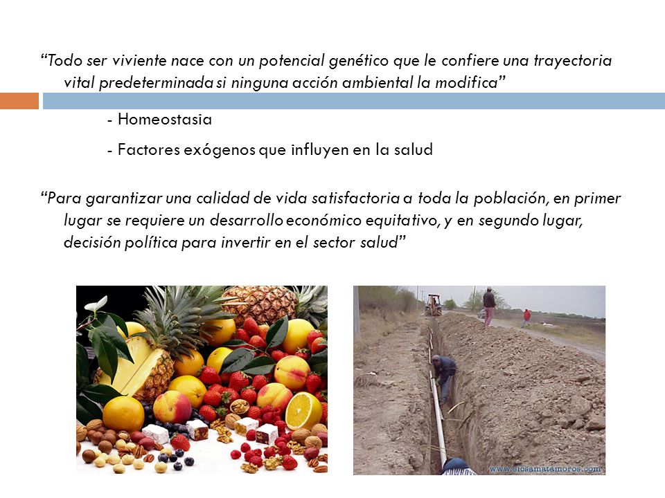 Todo ser viviente nace con un potencial genético que le confiere una trayectoria vital predeterminada si ninguna acción ambiental la modifica