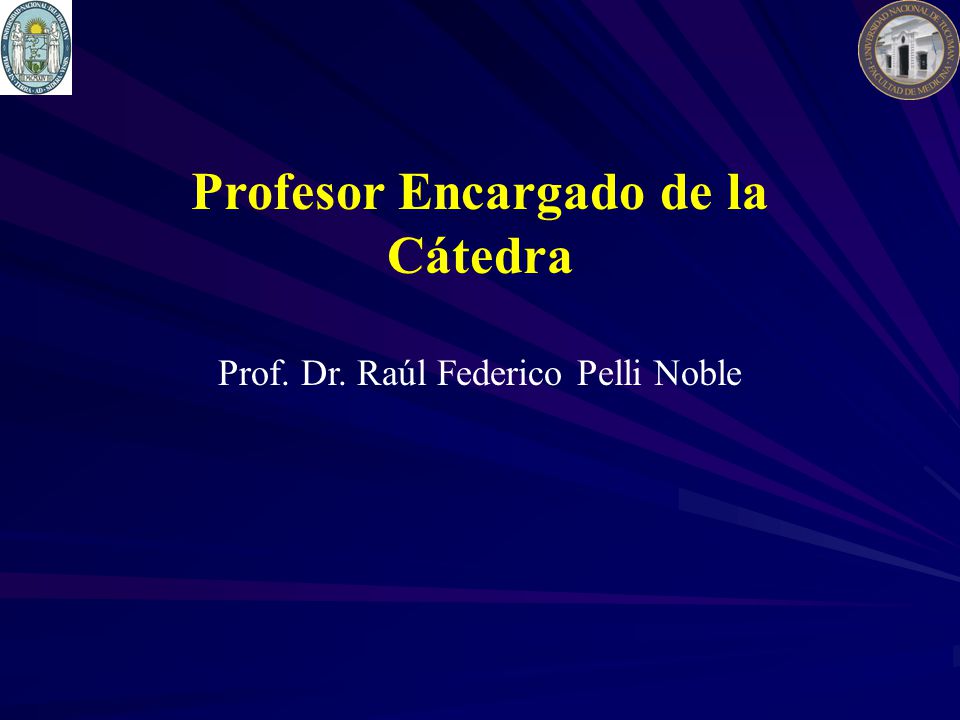 Profesor Encargado de la