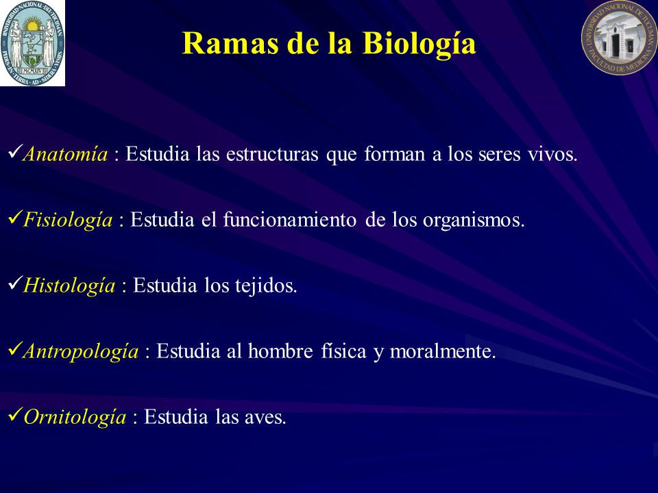 Ramas de la Biología Anatomía : Estudia las estructuras que forman a los seres vivos. Fisiología : Estudia el funcionamiento de los organismos.