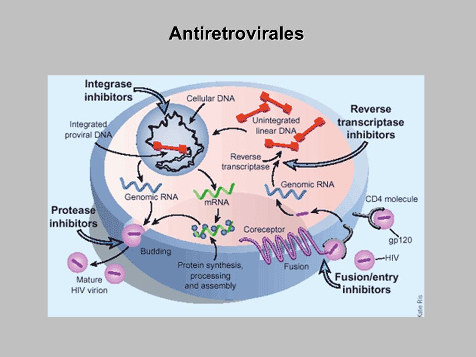Antiretrovirales