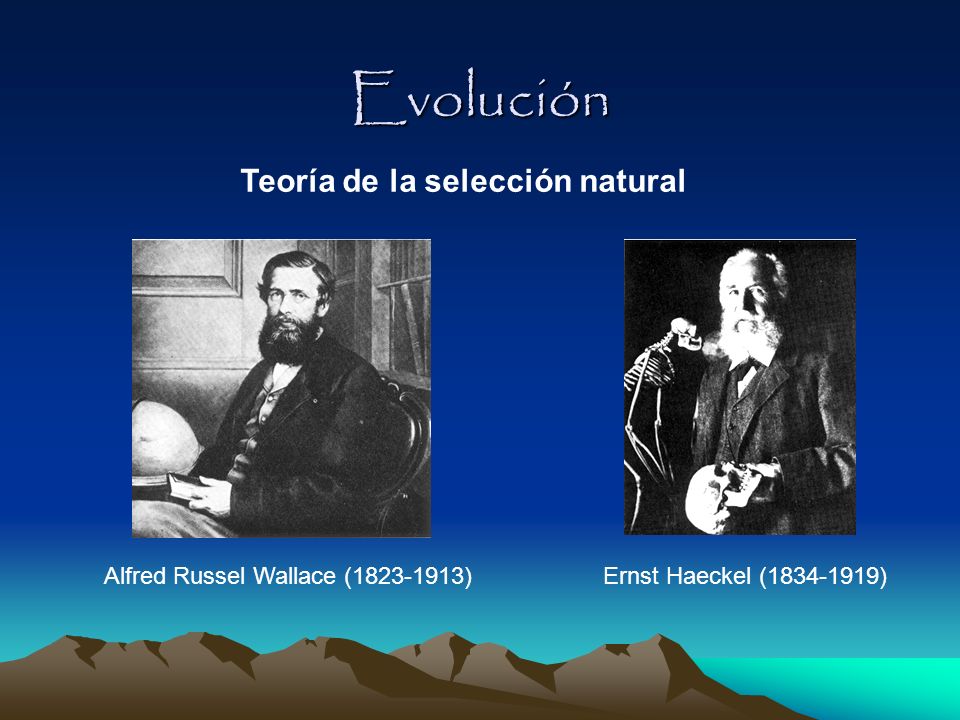 Evolución Teoría de la selección natural
