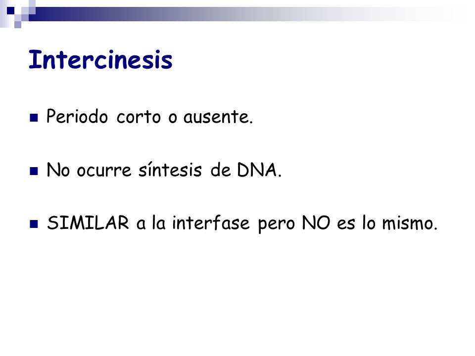 Intercinesis Periodo corto o ausente. No ocurre síntesis de DNA.