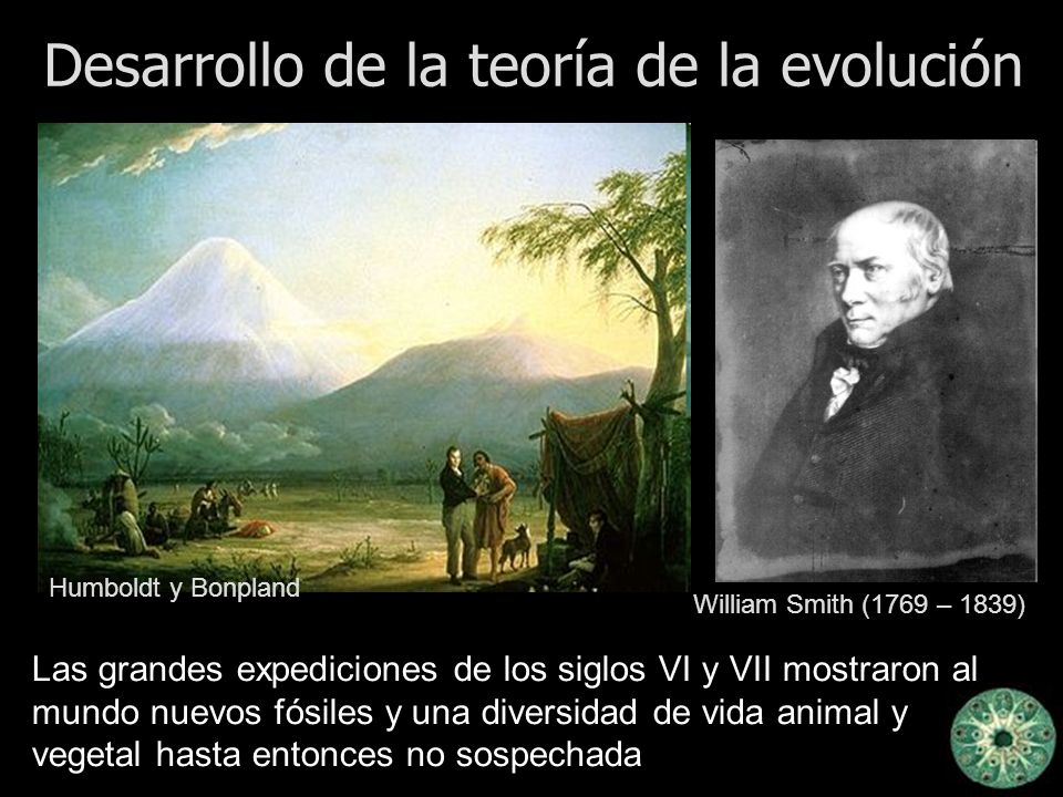 Desarrollo de la teoría de la evolución