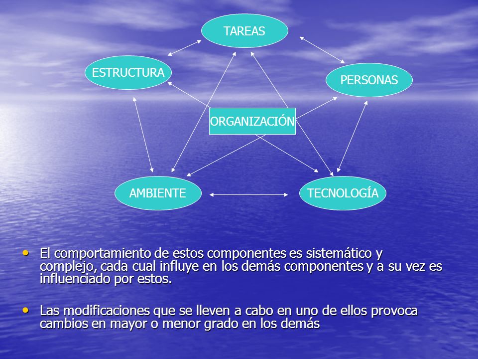 El comportamiento de estos componentes es sistemático y complejo, cada cual influye en los demás componentes y a su vez es influenciado por estos.
