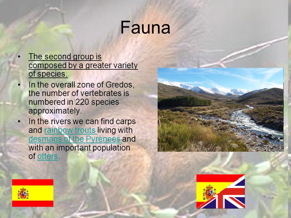 Fauna The second group is composed by a greater variety of species.