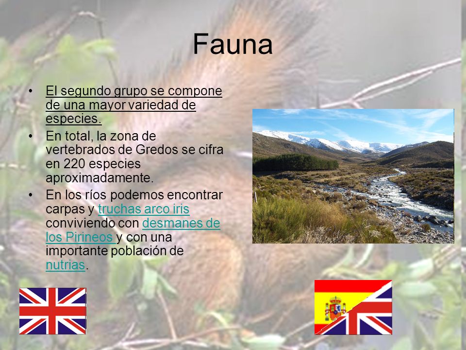 Fauna El segundo grupo se compone de una mayor variedad de especies.