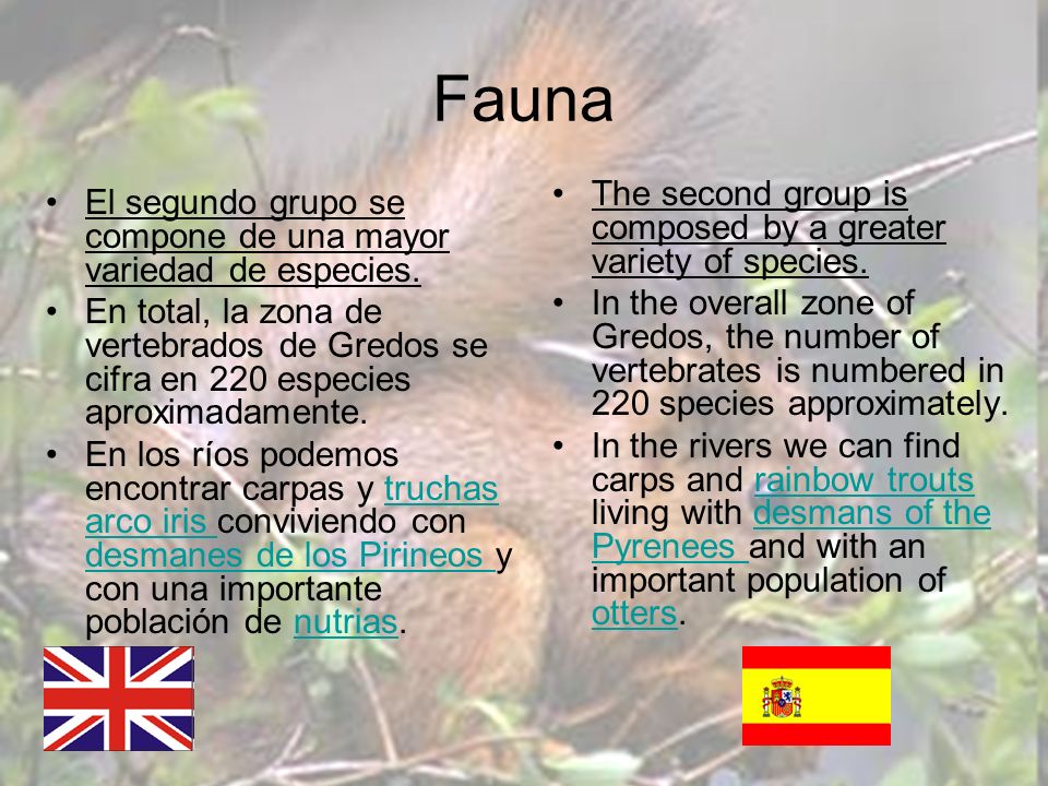 Fauna The second group is composed by a greater variety of species.